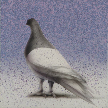 Solitary Dove, 1983